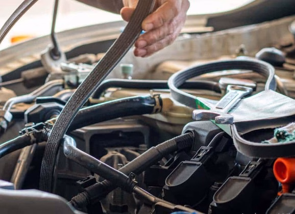 Belts & Hoses: The Backbone of Your Engine