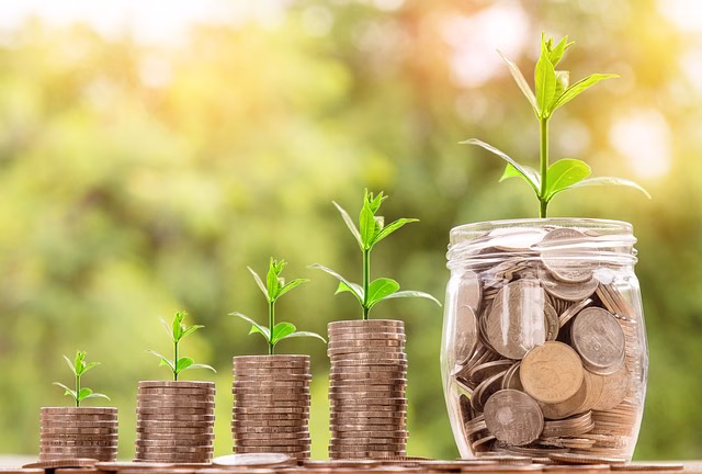 Invest Smartly Without Losing Money: Beginners Guide 2025